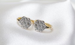 Donec tempor libero